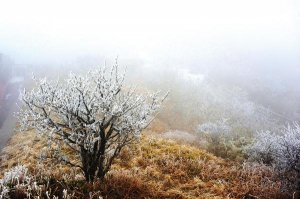 冬游贵州 冰雪梵净