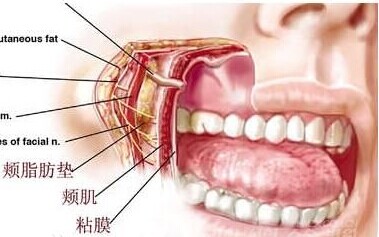 如何塑造上镜侧颜？悦美专访八大处唐晓军主任