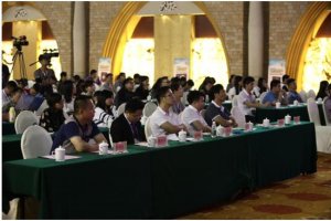 俏妇人洗衣片将成为洗衣市场领导品牌