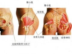 得了富贵病？奶爸爸塑臀椅有妙方来治