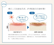 Coyori海泥面膜：深层洁净修复，让肌肤持续清爽