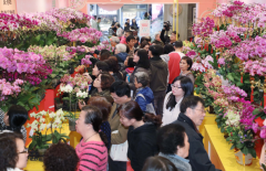 浓情暖冬，带你过最时髦港味新年！