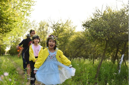 感恩自然MQD让孩子在野餐中学会审美和成长