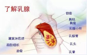 太舒特乳腺贴有通乳之功是真的吗