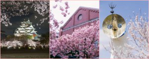 在樱花盛开的季节去日本旅行！去大阪名胜赏樱，去梅田阪急购物！